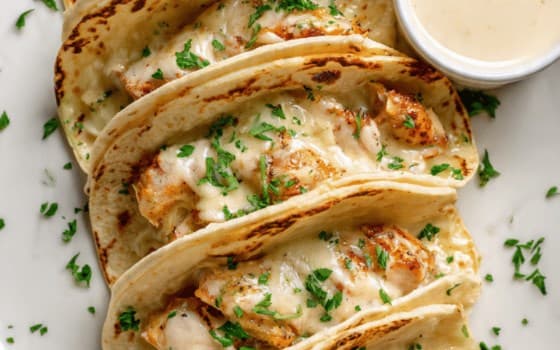 تاکو چیکن آلفردو