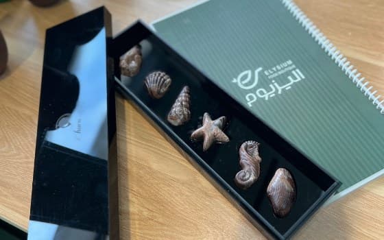 شکلات صدفی